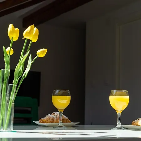 Daire Cool Attic Marina In The Heart Of Split